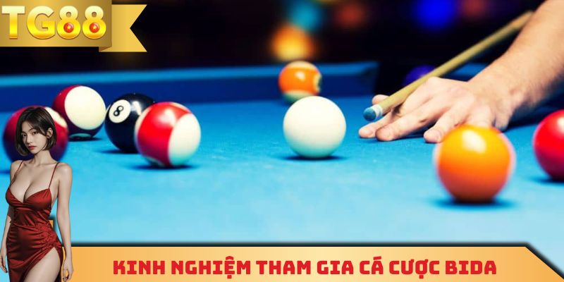 Kinh nghiệm chơi cá cược bida hiệu quả hàng đầu 2025