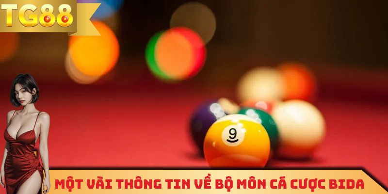 Một vài thông tin cơ bản về loại hình cá cược bida