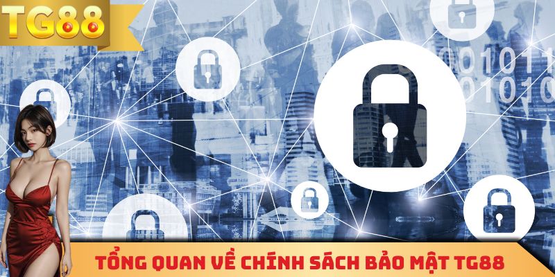 Tổng quan về chính sách bảo mật TG88