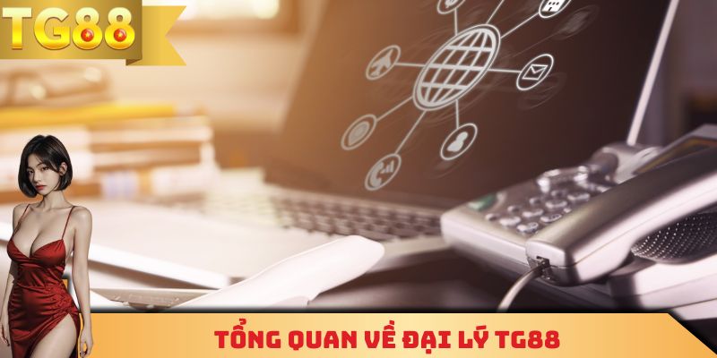 Tổng quan về đại lý TG88